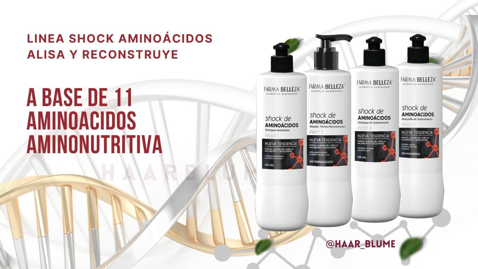 Aminoacidos